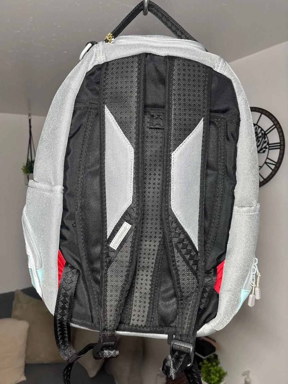 Sprayground brand model